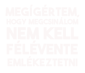 Megígértem hogy megcsinálom - világos